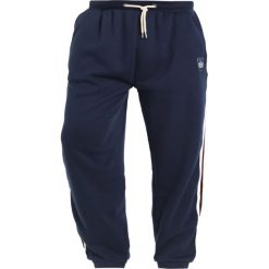 Spodnie dresowe męskie: BAD RHINO FASHION Spodnie treningowe navy