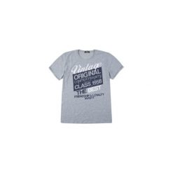 T-shirt męski. Szare t-shirty męskie TXM, m, bez wzorów, bez kołnierzyka. Za 24,99 zł.