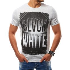 T-shirty męskie z nadrukiem: T-shirt męski z nadrukiem szary (rx2530)