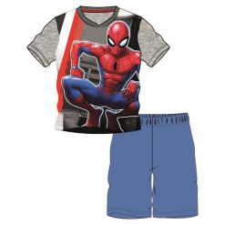 Disney By Arnetta Piżama Chłopięca Avengers 104 Szary. Szare bielizna chłopięca Disney By Arnetta, z nadrukiem, bez rękawów. Za 45,00 zł.