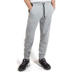 THE NORTH FACE STANDARD > 0A3XYFDYX1. Spodnie męskie The North Face, s, bez wzorów, z bawełny, klasyczne. W wyprzedaży za 249,99 zł.