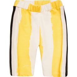 Spodnie chłopięce: Noé & Zoë BABY SPORTY PANTS Spodnie materiałowe yellow