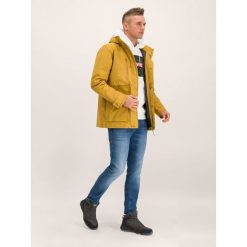 Kurtka zimowa Jack Wolfskin Bridgeport 1110941-5205. Żółte kurtki męskie Jack Wolfskin, na zimę, s, bez wzorów, z poliesteru, bez kaptura. W wyprzedaży za 749,00 zł.
