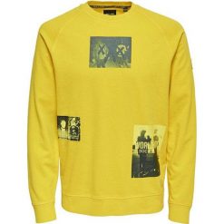 ONLY&SONS Męska bluza Wuk Crew Neck Sweat Spectra Yellow (rozmiar S). Żółte bluzy męskie Only&Sons, s, bez wzorów, bez kołnierzyka, bez rękawów, bez kaptura. W wyprzedaży za 94,00 zł.
