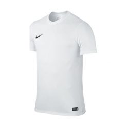 T-shirty męskie: Koszulka Nike Park VI (725891-100)