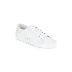Buty Ash DAZED. Trampki i tenisówki damskie Ash, bez wzorów, bez zapięcia. Za 374,50 zł.