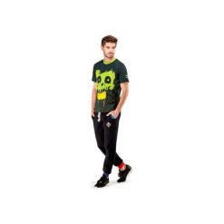 Crystal Skull T-shirt (Green). Zielone t-shirty męskie OKUAKU, s, z nadrukiem, z bawełny, bez kołnierzyka. Za 119,20 zł.