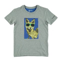 T-shirty chłopięce z nadrukiem: Koszulka „Luck of the Draw” w kolorze jasnoszarym
