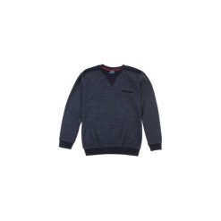 T-shirty męskie: t-shirt długi rękaw męski gładki
