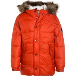Abercrombie & Fitch ELEVATED PUFFER Płaszcz zimowy orange. Pomarańczowe kurtki chłopięce marki Abercrombie & Fitch, na zimę, z nylonu. W wyprzedaży za 530,10 zł.