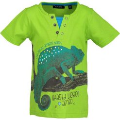 Blue Seven - T-shirt dziecięcy 92-128 cm. Niebieskie t-shirty męskie marki Blue Seven, s, z nadrukiem, z bawełny, z okrągłym kołnierzem. Za 59,90 zł.