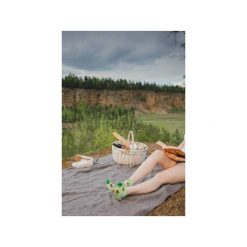 Skarpetki damskie: Stopki Piknik – kolorowe skarpetki Spox Sox