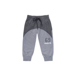 Szorty męskie sportowe. Szare spodenki i szorty męskie TXM, s, z nadrukiem, z dresówki, sportowe. Za 29,99 zł.