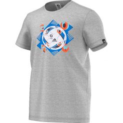 Koszulki sportowe męskie: Adidas Koszulka męska Euro Ball grafitowy r. M (AI5604)