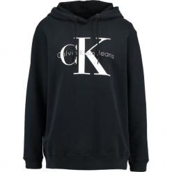 Bluzy damskie: Calvin Klein Jeans HOWARA TRUE ICON HOODY Bluza z kapturem black