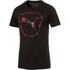 Koszulki do fitnessu męskie: Puma Koszulka Sportowa Brand Pure Logo Tee Cotton Black S