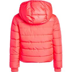 Converse MID WEIGHT CORE JACKET Kurtka zimowa hot punch. Czerwone kurtki chłopięce zimowe marki Converse, z materiału. W wyprzedaży za 335,20 zł.