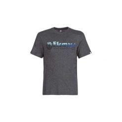 T-shirty z krótkim rękawem Element GLIMPSE HORIZONTAL SS. Szare t-shirty męskie marki Element, s, bez wzorów, bez kołnierzyka, krótkie. Za 109,00 zł.
