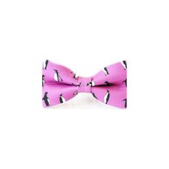 Mucha Pingwinki. Różowe muszki męskie Edyta kleist, na spotkanie biznesowe, w paski, z tkaniny, eleganckie. Za 99,00 zł.