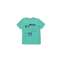 T-shirty męskie: t-shirt męski z printem