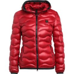 Kurtki damskie: Blauer Kurtka puchowa red