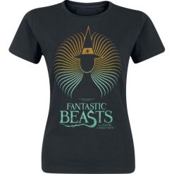 Bluzki damskie: Fantastic Beasts Spiral Wizard Koszulka damska czarny