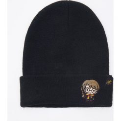 Czapka z aplikacją Harry Potter - Czarny. Czarne czapki damskie House, z aplikacjami. Za 29,99 zł.