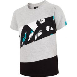 T-shirt chłopięcy (122-164) JTSM218 - szary melanż. Szare t-shirty chłopięce 4f, z nadrukiem, z bawełny, bez rękawów. Za 34,99 zł.