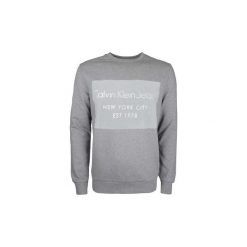 Bluzy Calvin Klein Jeans J30J305951. Szare bluzy męskie Calvin Klein Jeans, xxl, bez wzorów, z jeansu, bez kołnierzyka, bez rękawów, bez kaptura. Za 299,00 zł.