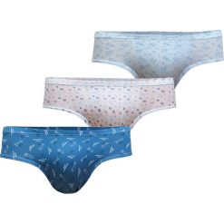 Trzypak chłopięcych slipów Summer. Szare bielizna chłopięca marki Astratex, z elastanu. Za 48,99 zł.