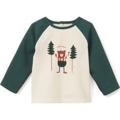T-shirty chłopięce: T-shirt z okrągłym dekoltem, długim rękawem i certyfikatem Oeko Tex