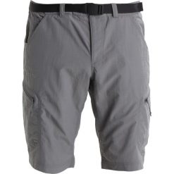 Bermudy męskie: Schöffel SHORTS SILVAPLANA Krótkie spodenki sportowe grey