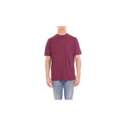 T-shirty z krótkim rękawem Zanone 811821Z0380. Fioletowe t-shirty męskie Zanone, m, bez wzorów, bez kołnierzyka, krótkie. Za 320,79 zł.