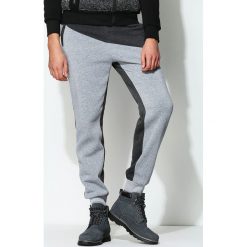 Spodnie dresowe męskie: Szare Spodnie Dresowe Inner Cut