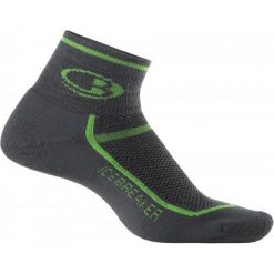 Skarpetki męskie: Icebreaker Skarpetki Mens Multisport Light Mini Oil/Turf S