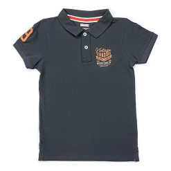 T-shirty chłopięce z krótkim rękawem: Koszulka polo w kolorze szarym