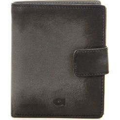 Portfel skórzany męski DAAG Alive P-11 vintage szary w pudełku - Szary. Szare portfele męskie daag, bez wzorów, ze skóry. Za 178,99 zł.