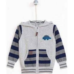 Lemon Explore - Sweter dziecięcy 86-116 cm. Szare swetry chłopięce marki LEMON explore, bez wzorów, z bawełny, z kapturem. W wyprzedaży za 59,90 zł.