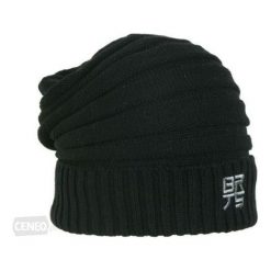 Czapki męskie: Barts Czapka zimowa męska Barts Ray Beanie czarna (C0058)