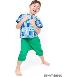 Spodenki zielone. Zielone szorty damskie Pakamera, z bawełny. Za 75,00 zł.