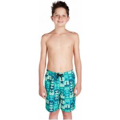 Kąpielówki chłopięce: Speedo Kąpielówki Printed Leisure 17 Navy/Jade/Green Glow S