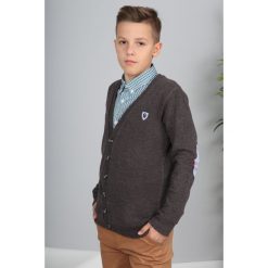 Brązowy Sweter Zapinany NDZ8014. Pomarańczowe swetry chłopięce marki Fasardi. Za 69,00 zł.
