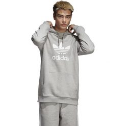 Bluza adidas Trefoil Hoodie (DT7963). Szare bluzy męskie Adidas, m, bez wzorów, z bawełny, bez kołnierzyka, bez rękawów, bez kaptura. Za 239,99 zł.