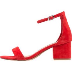Sandały damskie: Steve Madden IRENEE Sandały red