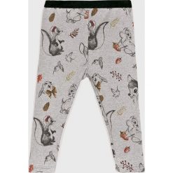 Blukids - Legginsy dziecięce 74-98 cm. Szare spodnie dziewczęce Blukids, bez wzorów, z bawełny, casualowe. W wyprzedaży za 39,90 zł.