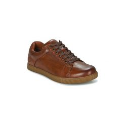 Buty Skechers MEN USA. Pomarańczowe trampki męskie Skechers, bez wzorów, bez zapięcia. Za 309,00 zł.