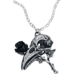 Alchemy Gothic Quietus Rose Naszyjnik srebrny. Szare naszyjniki damskie Alchemy Gothic, srebrne. Za 62,90 zł.