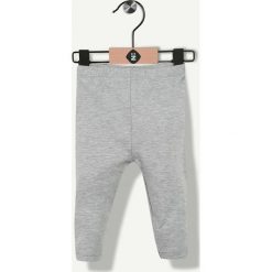 Legginsy dziewczęce: Legginsy w kolorze jasnoszarym