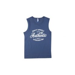 T-shirt męski bez rękawów. Szare t-shirty męskie marki TXM, m. Za 9,99 zł.