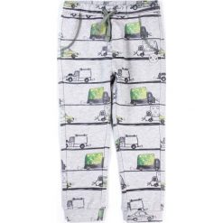 Joggery męskie: Coccodrillo – Spodnie dziecięce 92-110 cm